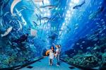 Tour Nha Trang: Vinpearl Harbour – Chùa Long Sơn - Viện Hải Dương Học